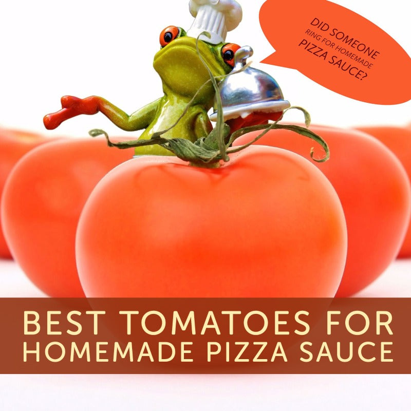 Homemade Pizza Sauce Recipe