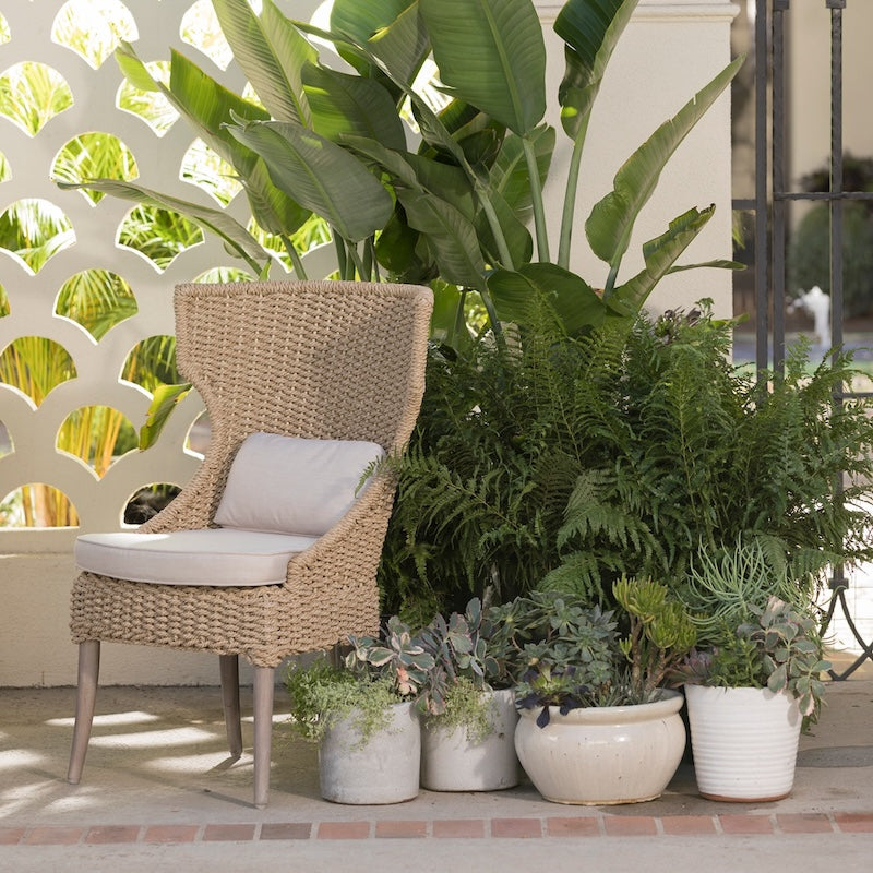 Arla Dining Chair