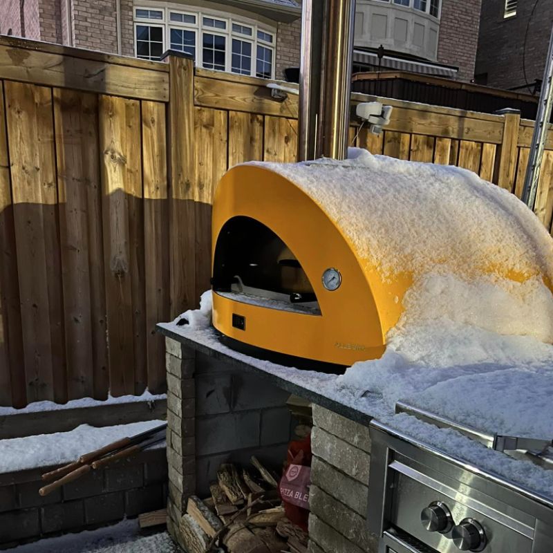 Alfa Allegro Countertop Wood Fired Pizza Oven