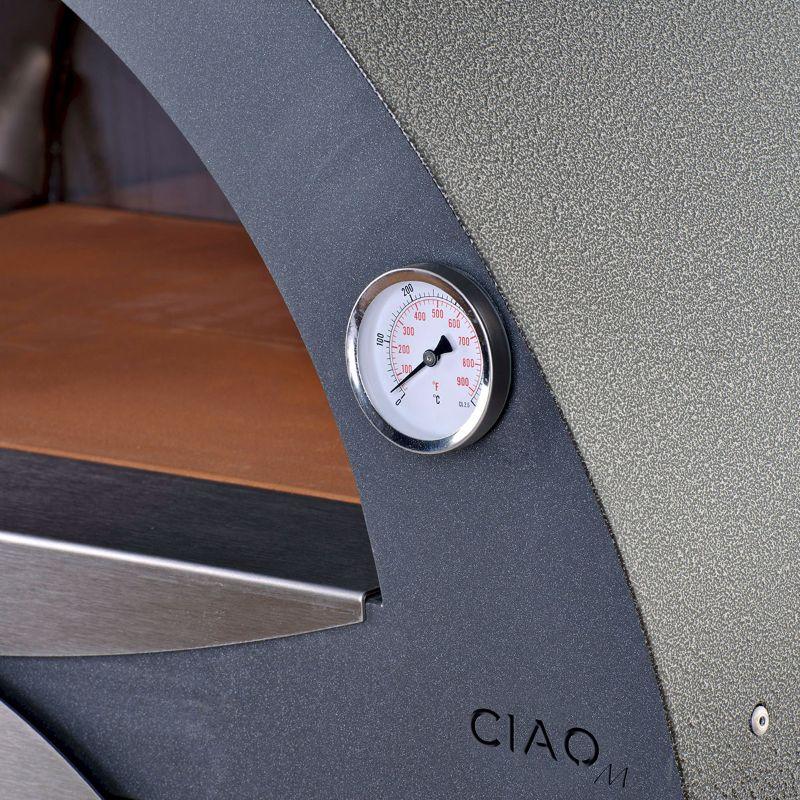 Alfa CIAO Best Wood Fired Pizza Oven from Alfa Ovens